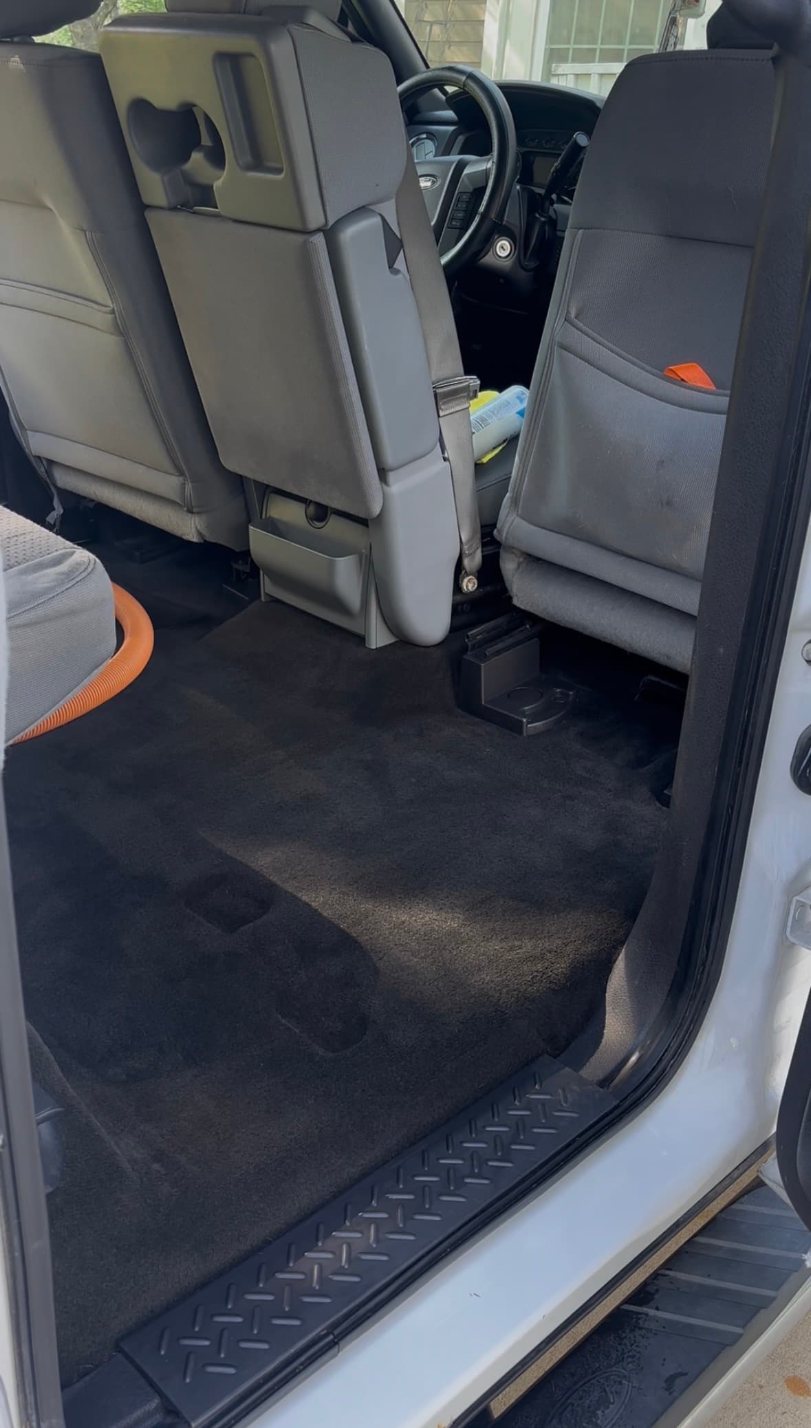 Ford f150 - Carpet Pet Hair Removal